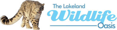 Lakeland Wildlife Oasis